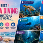best scuba diving